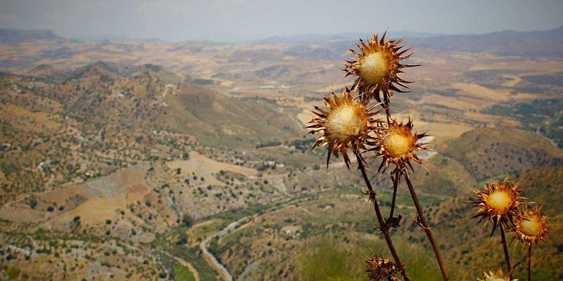 云端智变：云计算如何成为AI模型训练与部署的基石
